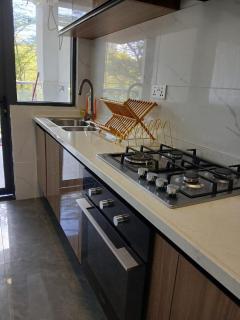 Socials-Gardens - 3