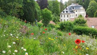 Ferienwohnung Teichblick - Bad Liebenstein - 1