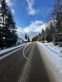 Cabana dintre brazi - Muntele Băişorii - 3