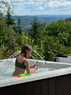 Holiday Cabin with Hot Tub and Billiard Table - 6
