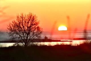Le Petit Nid, Gîtes vue mer, l'Île de Tatihou avec Jacuzzi - 0