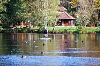 Felsenland-Apartment - 0