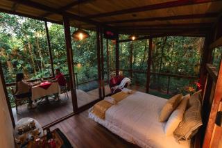Amazon Puyu Glamping - Tarqui - 0