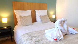 Nid Douillet au Bord du Canal #D - 8