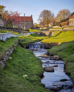 Lakefront Lodge Fishing Lakes 5 Star Country Park M - Little Habton - 2