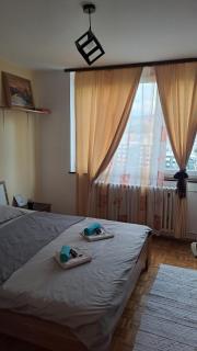 Sarajevo Apartment by Didi 4U2STAY free parking - Sarajevo - 5