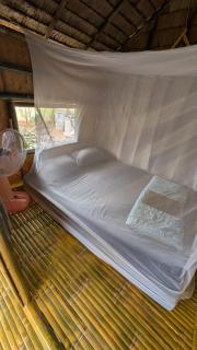 Tarzan Bamboo hut - 1