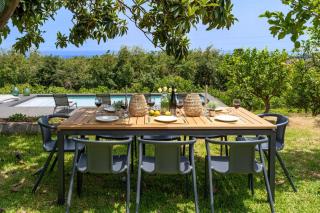 Avocado Garten - Giarre - 7