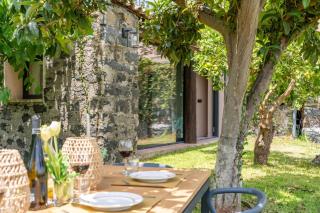 Avocado Garten - Giarre - 5