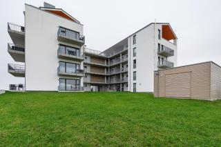 Seeschwalbe - Olpenitz - 9