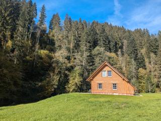 Die Alte Mühle Am Hanselishof - Schenkenzell - 1