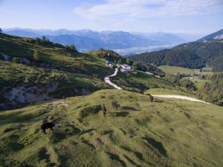 BuchackerAlm BlackAngusAlm - Angerberg - 3
