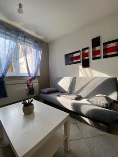 T1 Sympathique logement a Thann - 3