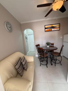 Veroniques House Cozy Modern 1-Bedroom in Vibrant Woodbrook - Port-of-Spain - 8