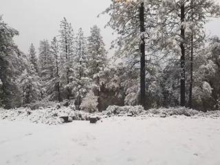 Cody's Comfy Cabin- Near Yosemite - Mariposa - 3