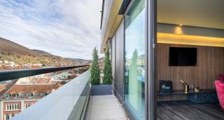 PLAZA Premium Heidelberg - 3