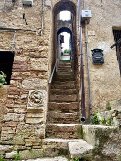 A Casa du Manganu - 9