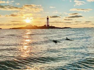 Pater Noster A home on the horizon - - 3