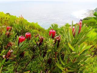 Misty Mountain Reserve - Stormsrivier - 6
