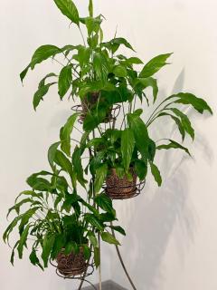 OSapart at a complex Shevchenka 21 - 8