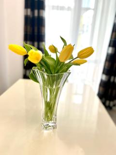 OSapart at a complex Shevchenka 21 - 6