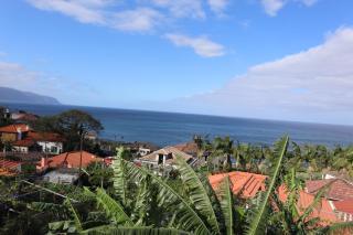 Casa do Tio Albino II - Ponta Delgada - 8