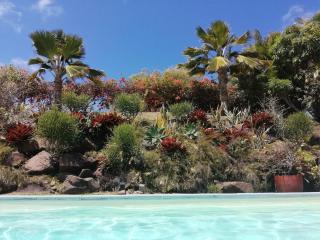 Villa Creole with Pool - Le Robert - 5