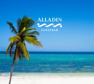 Alladin Beach Hotel and SPA Zanzibar - Matemwe - 8