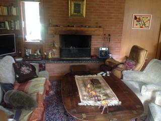 good Atmosphere near City and Nature - 1