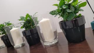 Incanto Apartament - Starogard Gdański - 7