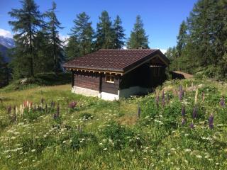 Untere Schweibe - Riederalp - 7