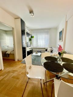 Regina Vracar apartment and garage - Vračar (historical) - 8