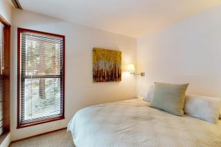 Wolf Tree Wonder - Truckee - 1