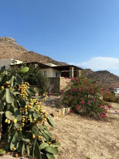 Euphrosyne - Ios Chora - 7