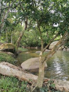Riverside Hostel - Palomino - 7