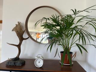Davids homestay - - 1