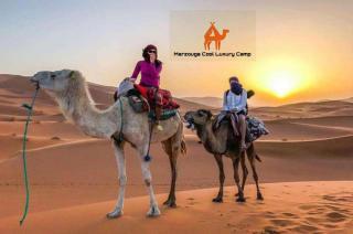 Merzouga Cool Luxury Camp - 6
