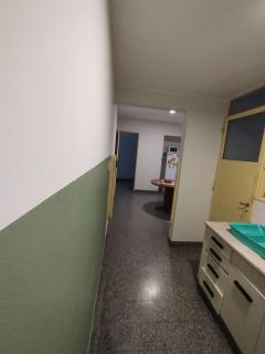 Espacioso y tranquilo departamento en el centro de la ciudad - Bahía Blanca - 6
