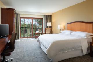 Sheraton Carlsbad Resort & Spa - Carlsbad - 8