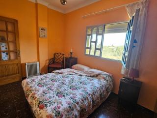 Casa Rural Los Tilos Betancor - Moya - 5