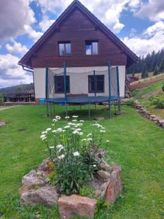 Wellness Chata Rosnatka - Kvilda - 7