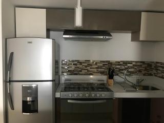 C205 - 1BR - 1BTh - Città del Messico - 3