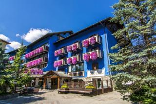 Hotel Baita Clementi - Bormio - 6