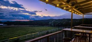 Hotel Almore - Monteverde - 6