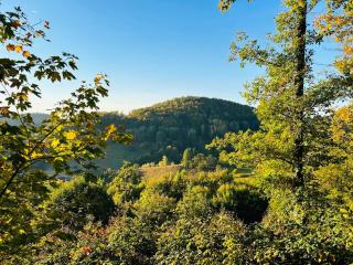 Talblick 5, mit Sauna und wunderschönen Ausblick im Süd Harz - Walkenried - 4