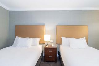 Sandman Hotel Vernon - 5