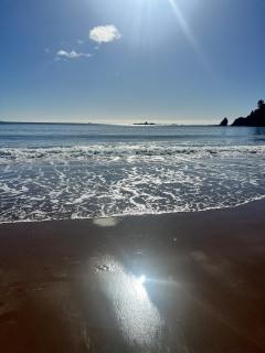 Little Sister - Little Bay, Coromandel - - 6