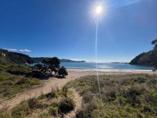 Little Sister - Little Bay, Coromandel - 1