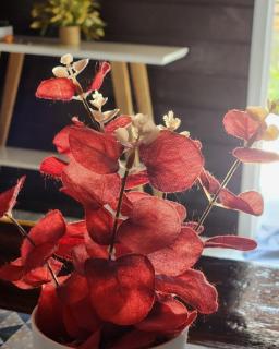 A CASA DE MADEIRA Martins - 8