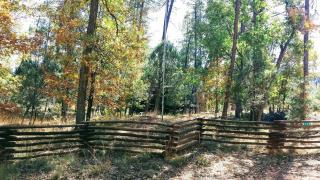 Strawberry Preserves Rustic Cabin - 1
